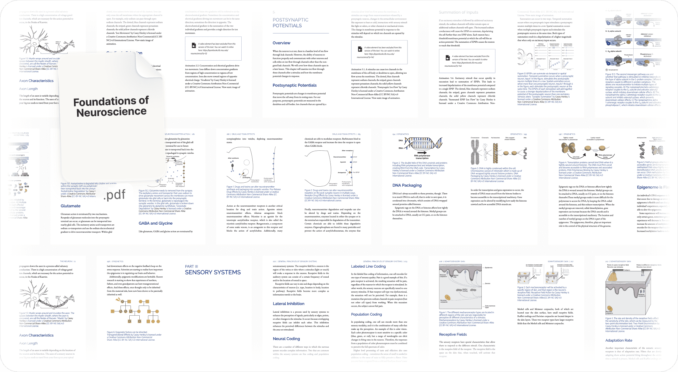 Neuron structure and membrane potential mind map